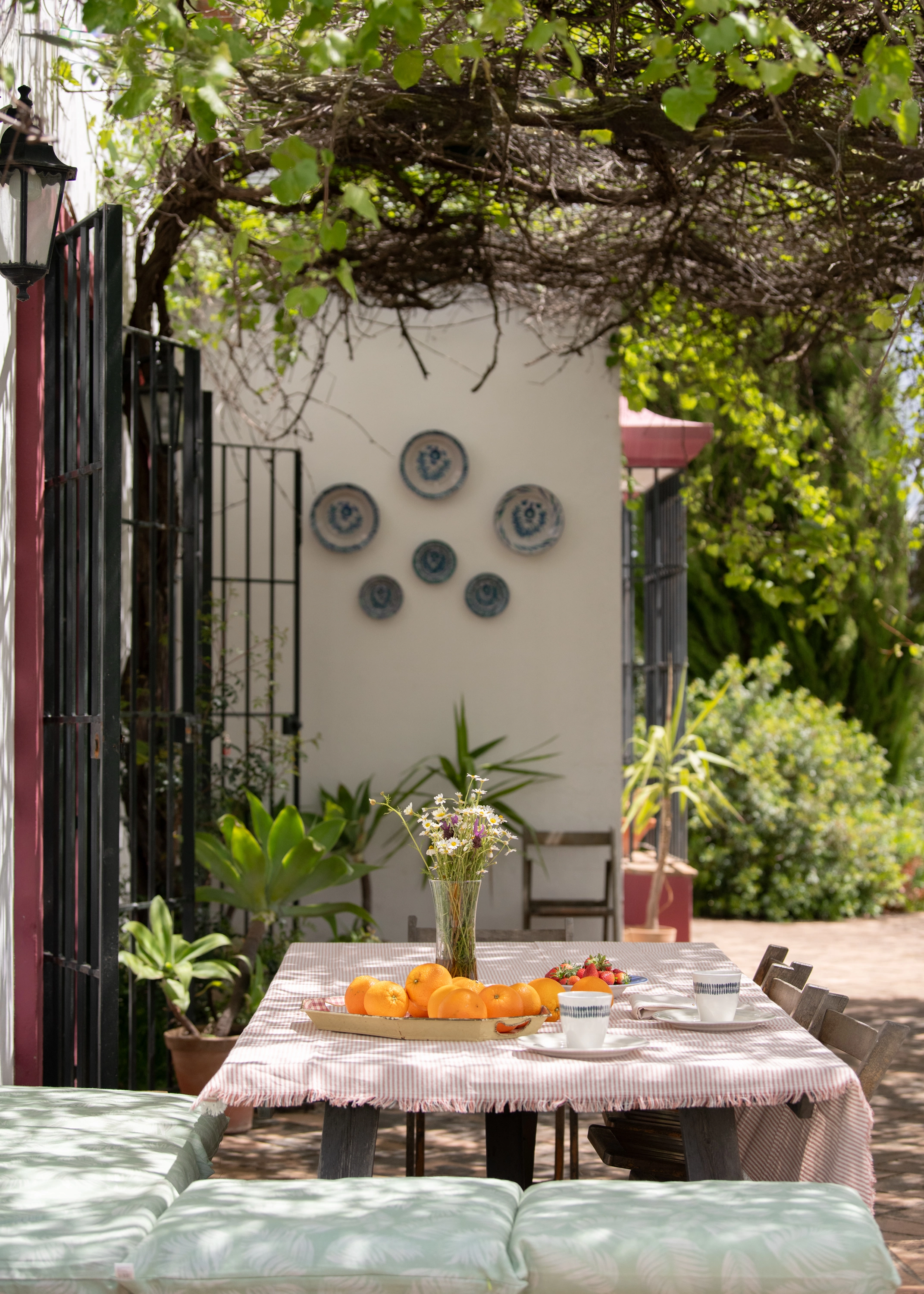 Patio dining at Epoca Suites: Corporativa: fresh oranges, strawberries, and coffee set on a table under lush greenery.