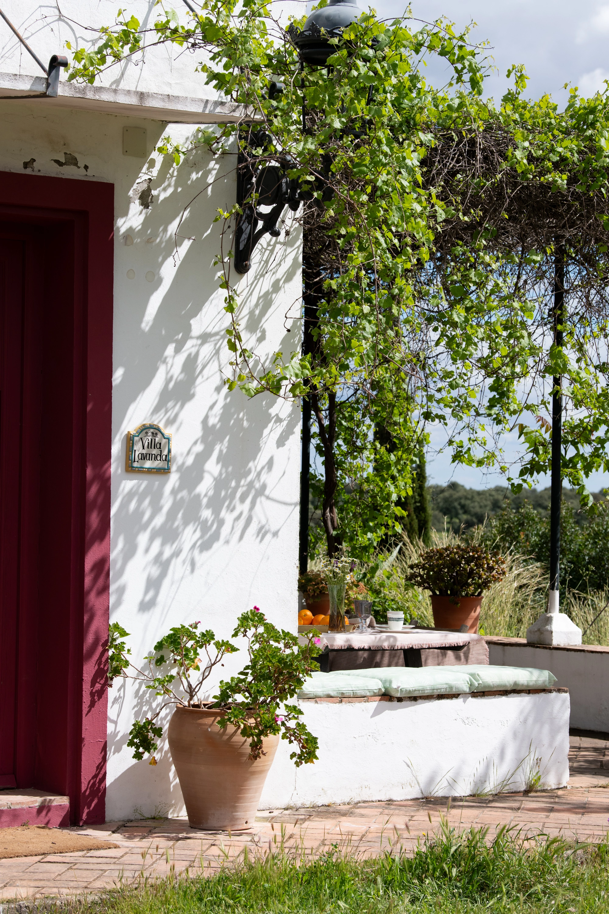 Villa Lavanda: Charming patio with grapevines and seating, perfect for Epoca Suites: Corporativa stays.