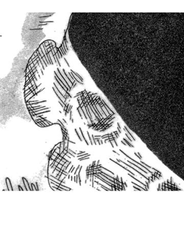 a man and a woman are sitting on the floor looking at pictures .