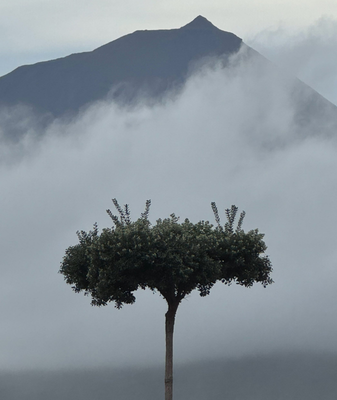 hay una gran roca en el medio de la habitación .