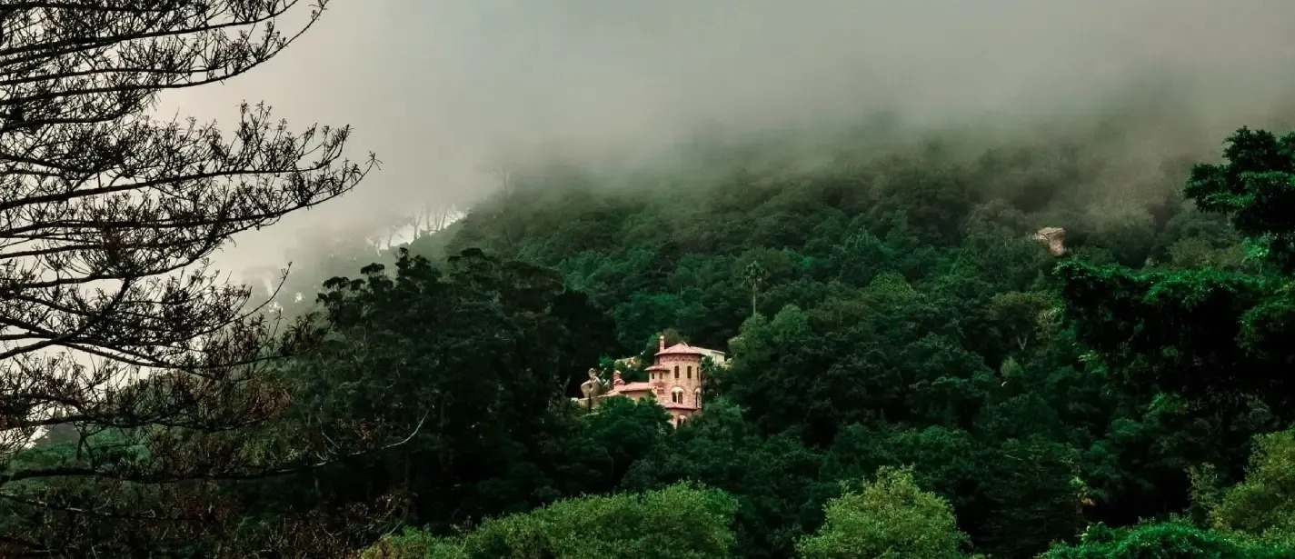 uma casa com um telhado rosa está situada no topo de uma montanha cercada por árvores .