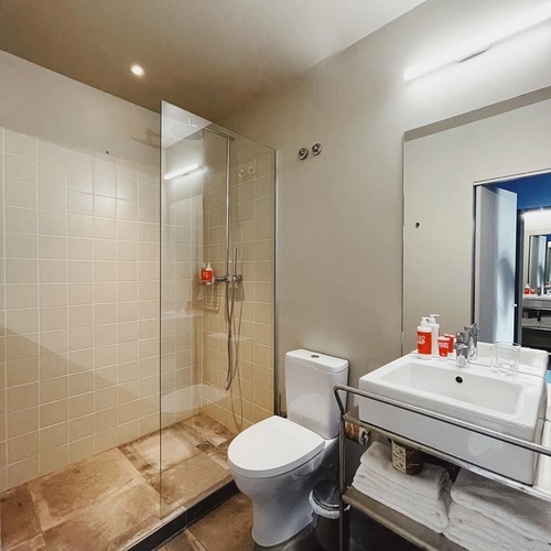 a bathroom with a toilet a sink and a walk in shower