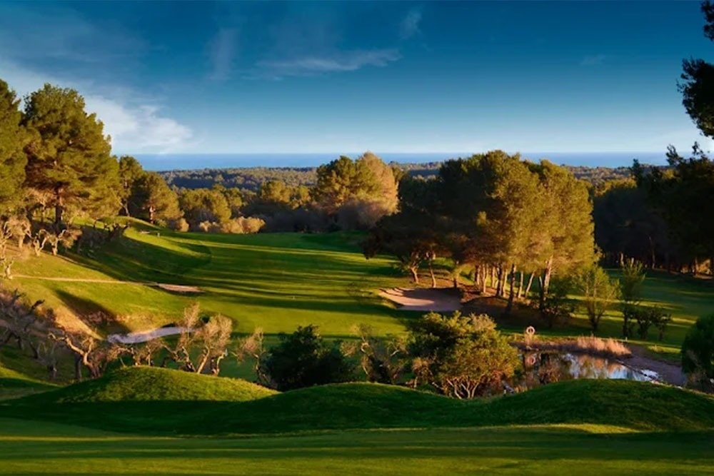 Ein Mann und eine Frau gehen mit ihren Golfausrüstungen über einen grünen Golfplatz, mit Bäumen im Hintergrund.