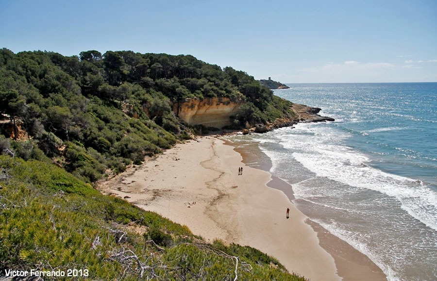 una foto de una playa tomada por victor ferrando en 2013