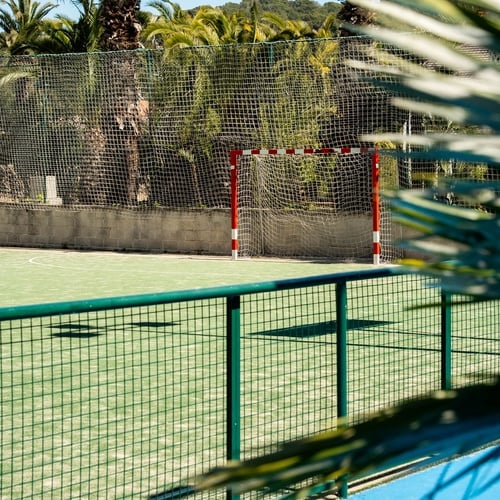 Estival Torre de la Mora | Campo de deportes con portería de balonmano, rodeado de palmeras.