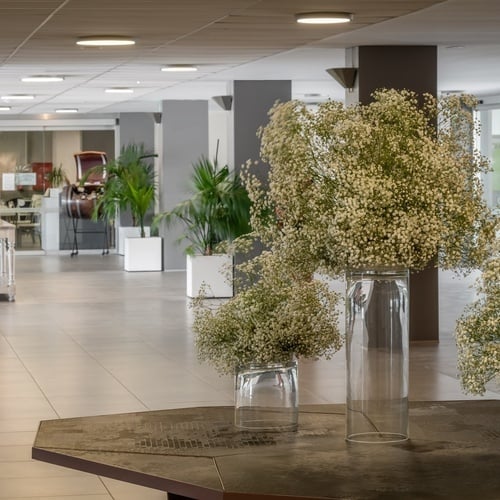 jarrones llenos de flores blancas están sobre una mesa