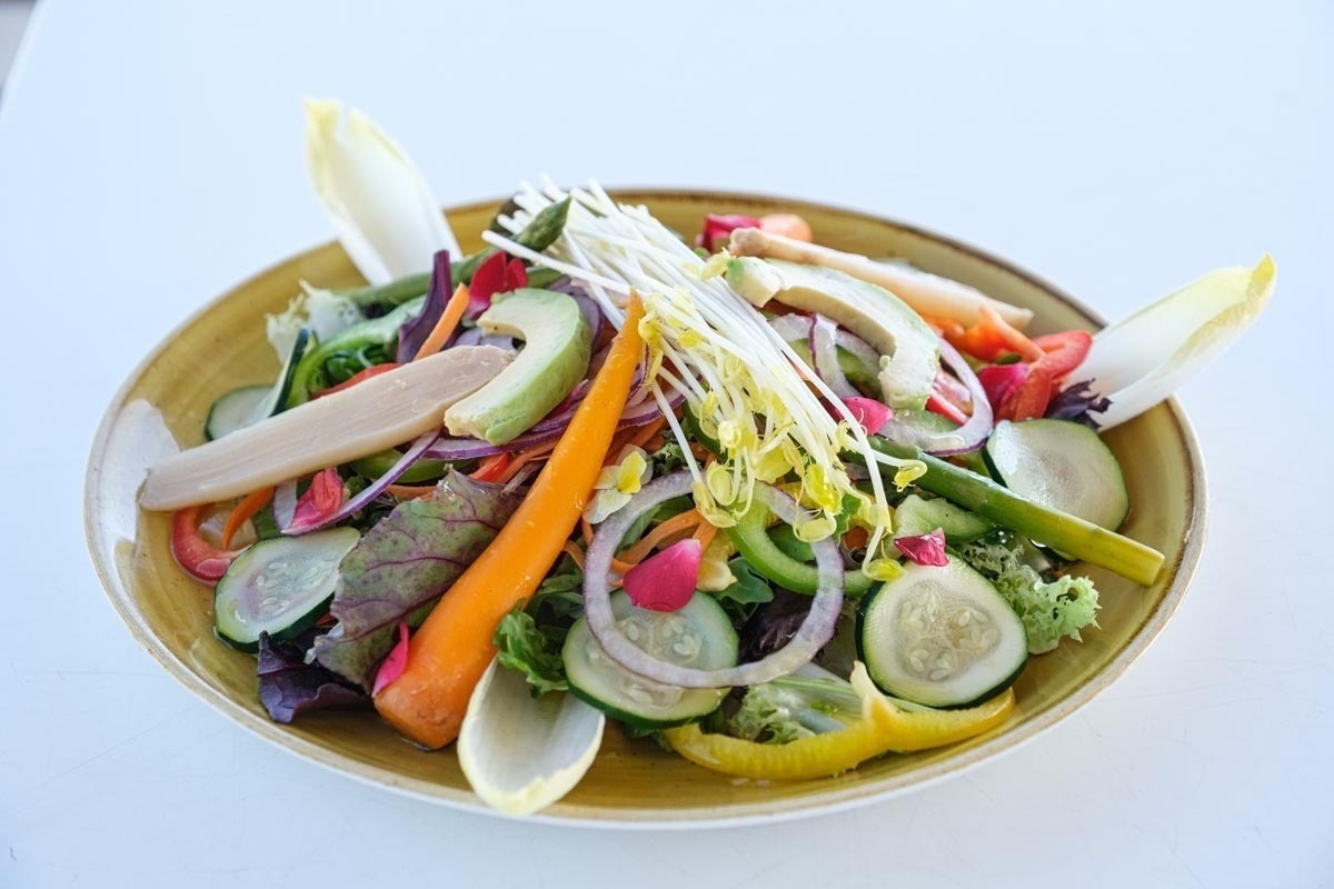 Frischer Salat mit Avocado, Karotte und Sprossen auf dem Chiringuito Berano | Estival Eldorado | Cambrils | Offizielle Website
