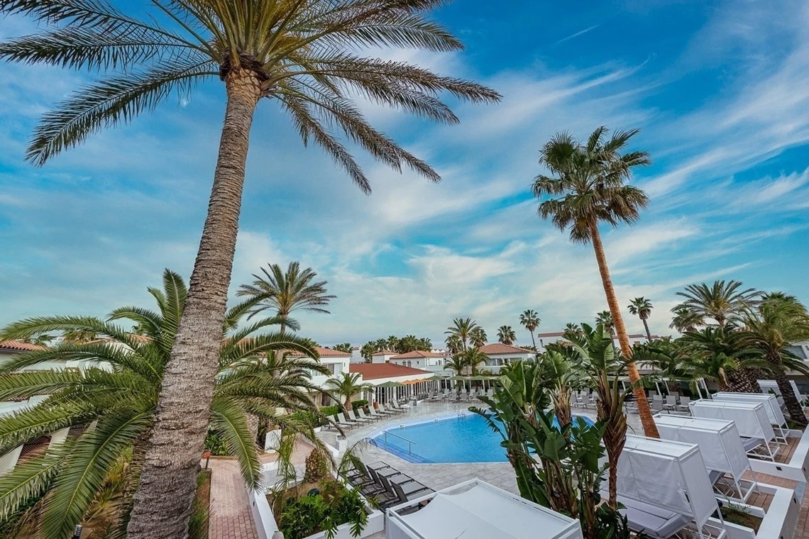 a swimming pool surrounded by palm trees with a blue sky in the background