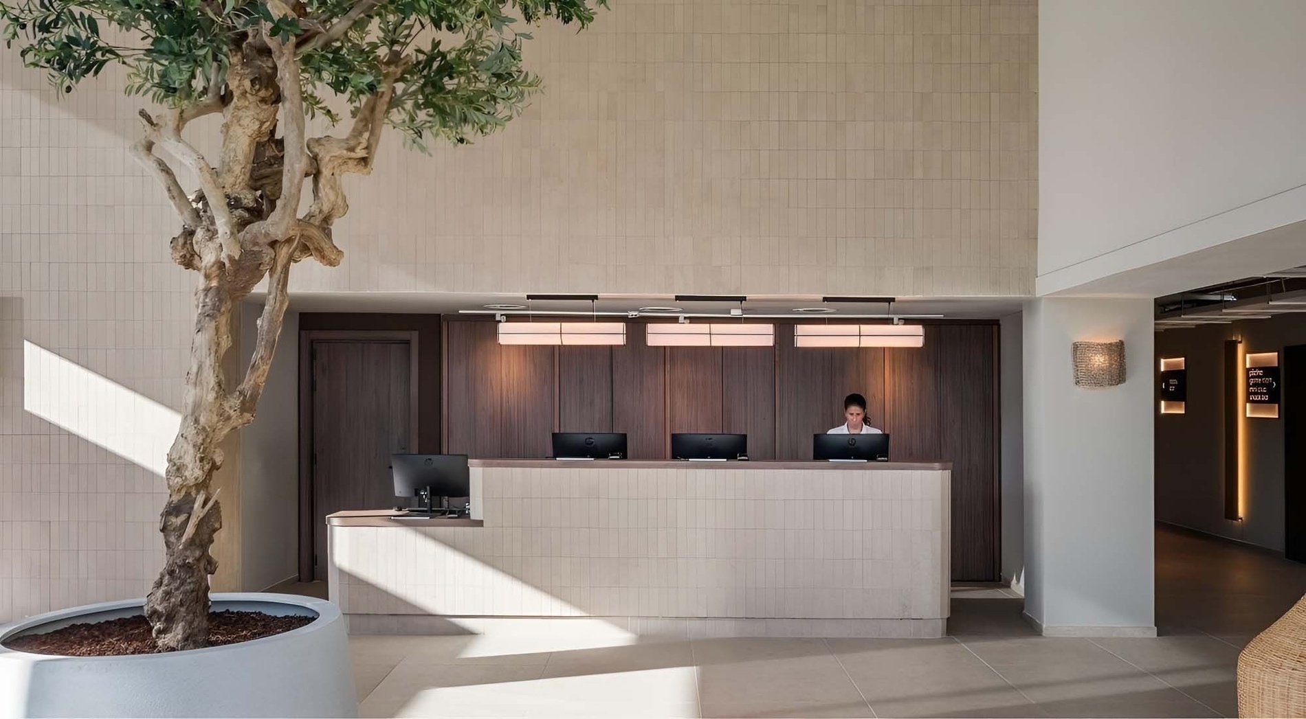 A large olive tree stands prominently beside a modern reception desk with a seated attendant in a well-lit, tiled lobby, featuring warm wooden accents and directional signage.