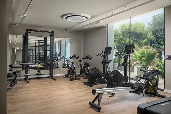 ESTIVAL Corporate gym: featuring modern equipment and natural light.