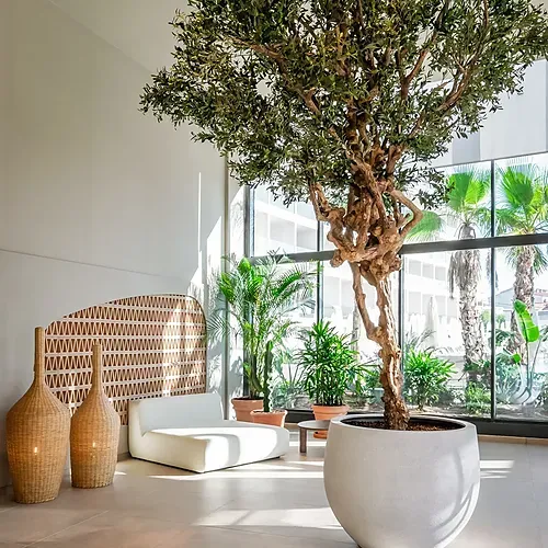 Lobby mit großem Baum im Topf, Lounge-Möbeln und Pflanzen im Estival Maramar | Estival Group | Tarragona | Offizielle Website.
