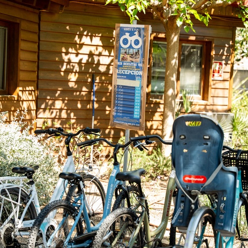 Alquiler de bicicletas en Estival Torre de la Mora | Estival Group | Tarragona | Web Oficial