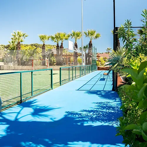 Estival Torre de la Mora : Terrain de sport extérieur avec palmiers et ciel bleu.