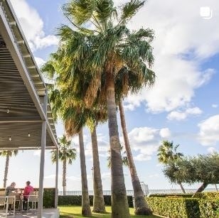 un grupo de palmeras están alrededor de una mesa y sillas .