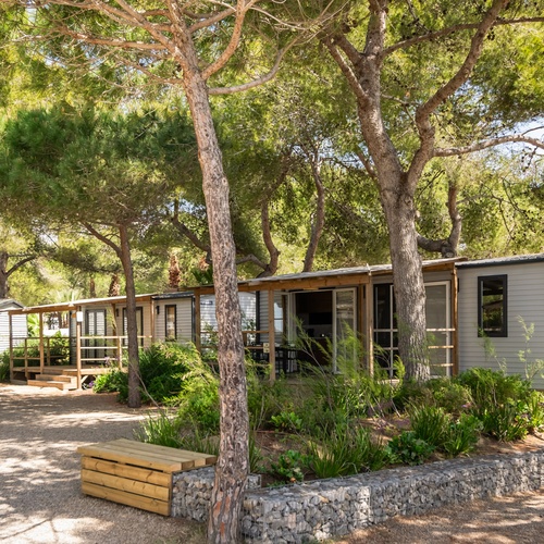 Estival Torre de la Mora: casas de madera y naturaleza en Tarragona.