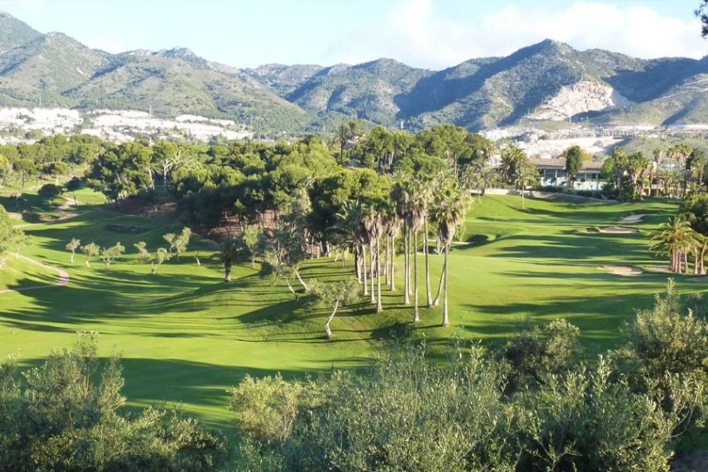 Ein Mann und eine Frau gehen mit ihren Golfausrüstungen über einen grünen Golfplatz, mit Bäumen im Hintergrund.