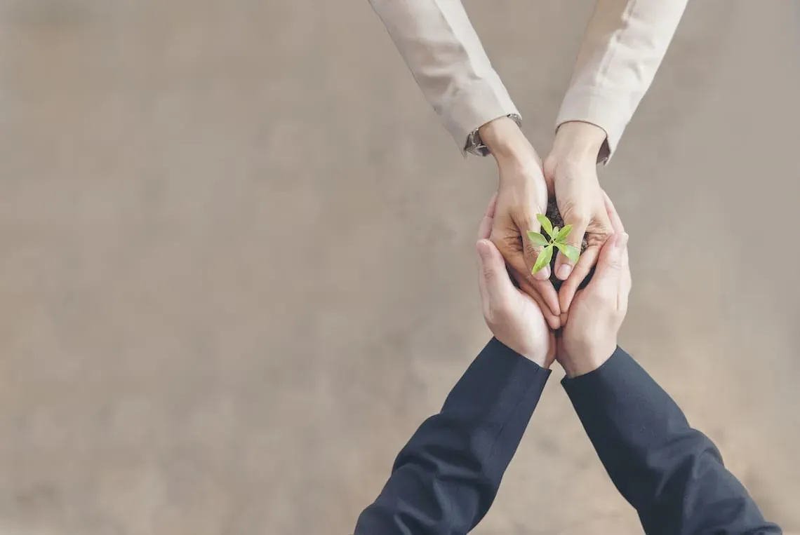 ESTIVAL: Corporate hands hold green sprout, symbolizing growth and future.