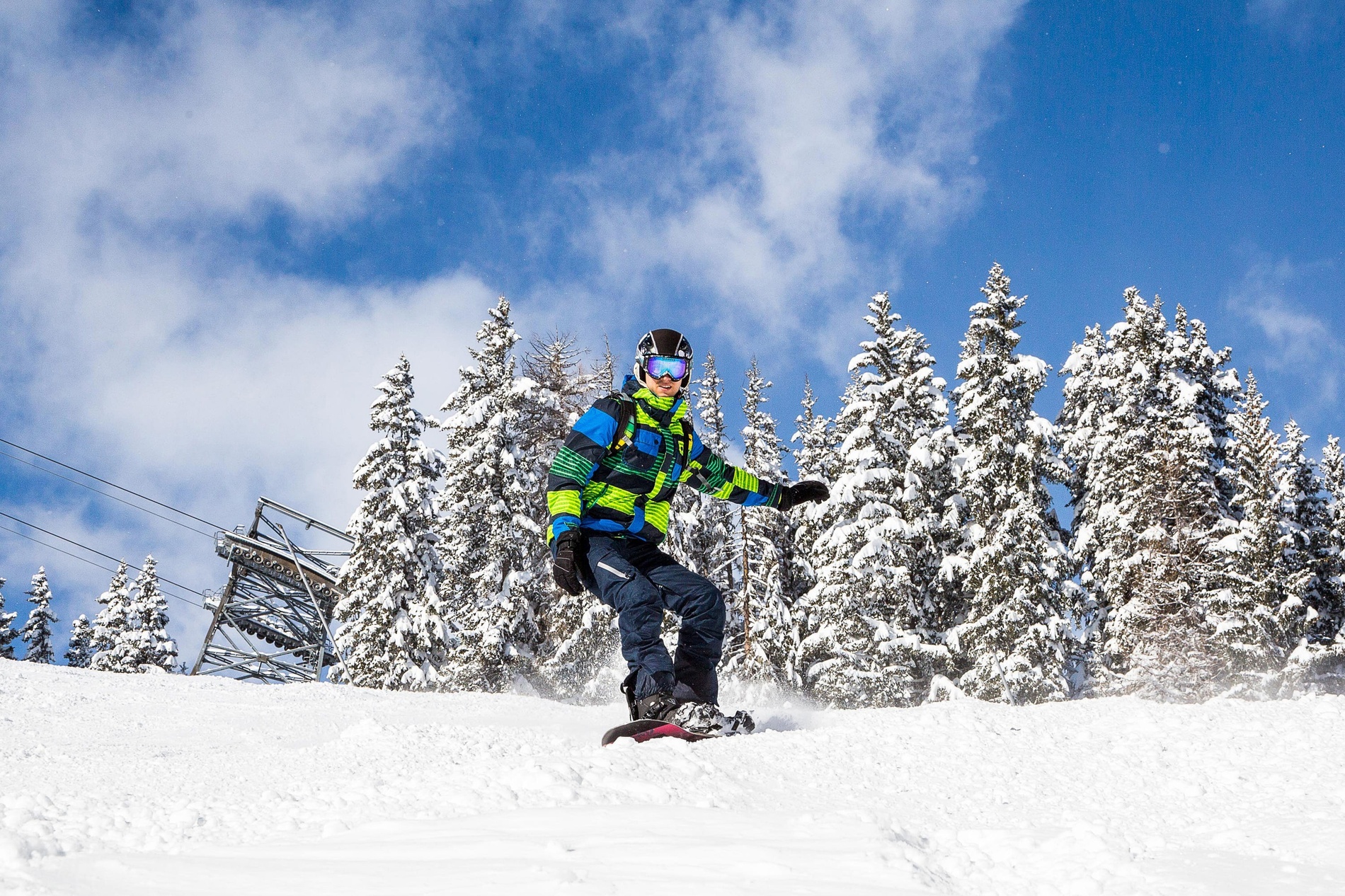 un snowboarder envoltat d' arbres coberts de neu