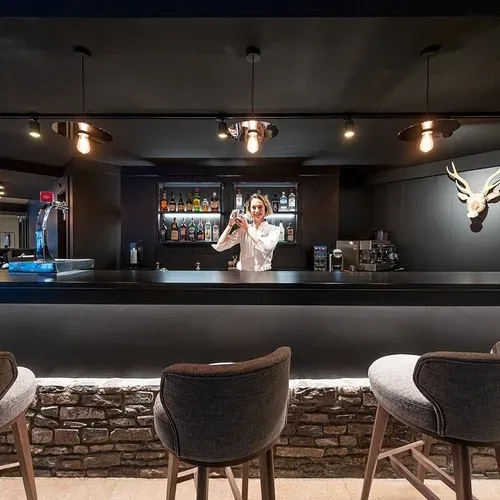 Hotel Cristina | Andorra: Bartender preparing drinks at the modern bar with deer decor.