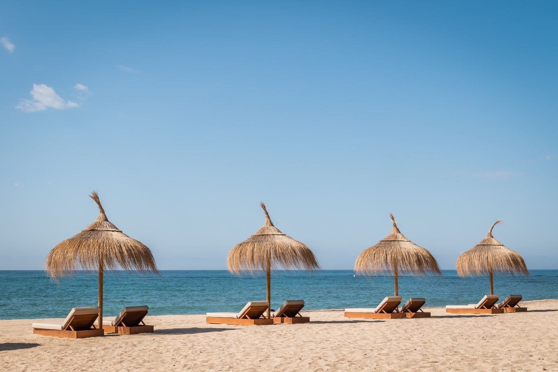 una piscina rodeada de árboles y palmeras en un resort