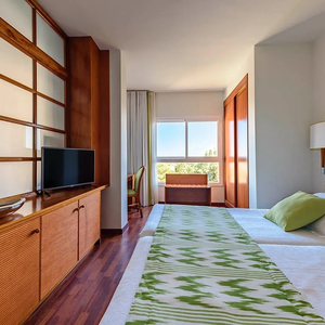 Habitaci&oacute;n Suite Classic