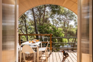 Estival Torre de la Mora