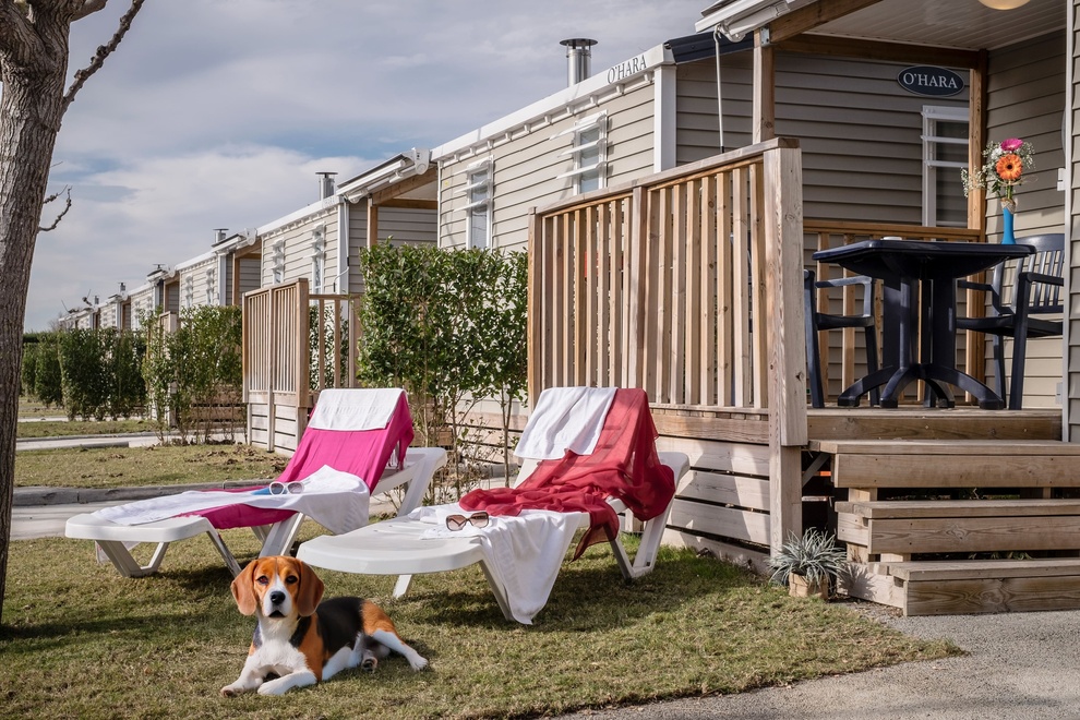 Estival Vendrell Platja