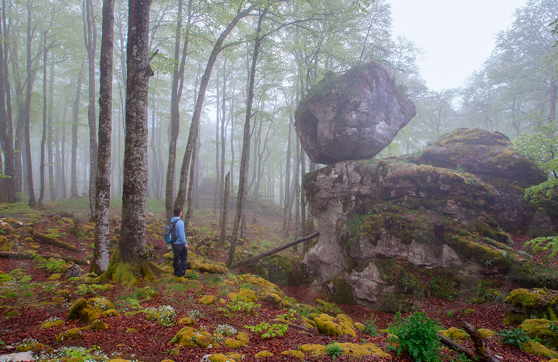 a close up of a pink background with a plain texture .