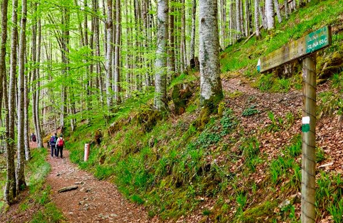 a stone wall along the side of a path