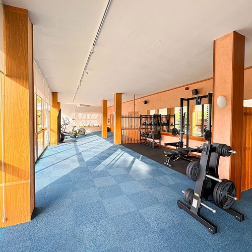 une salle de sport avec un tapis bleu et des barres de poids