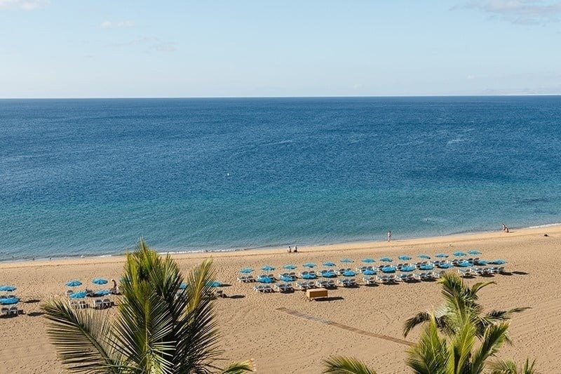 Una vista panorámica muestra una playa de arena dorada con hileras de sombrillas y tumbonas azules, un océano azul y sereno, y hojas de palmera en primer plano, todo bajo un cielo claro.