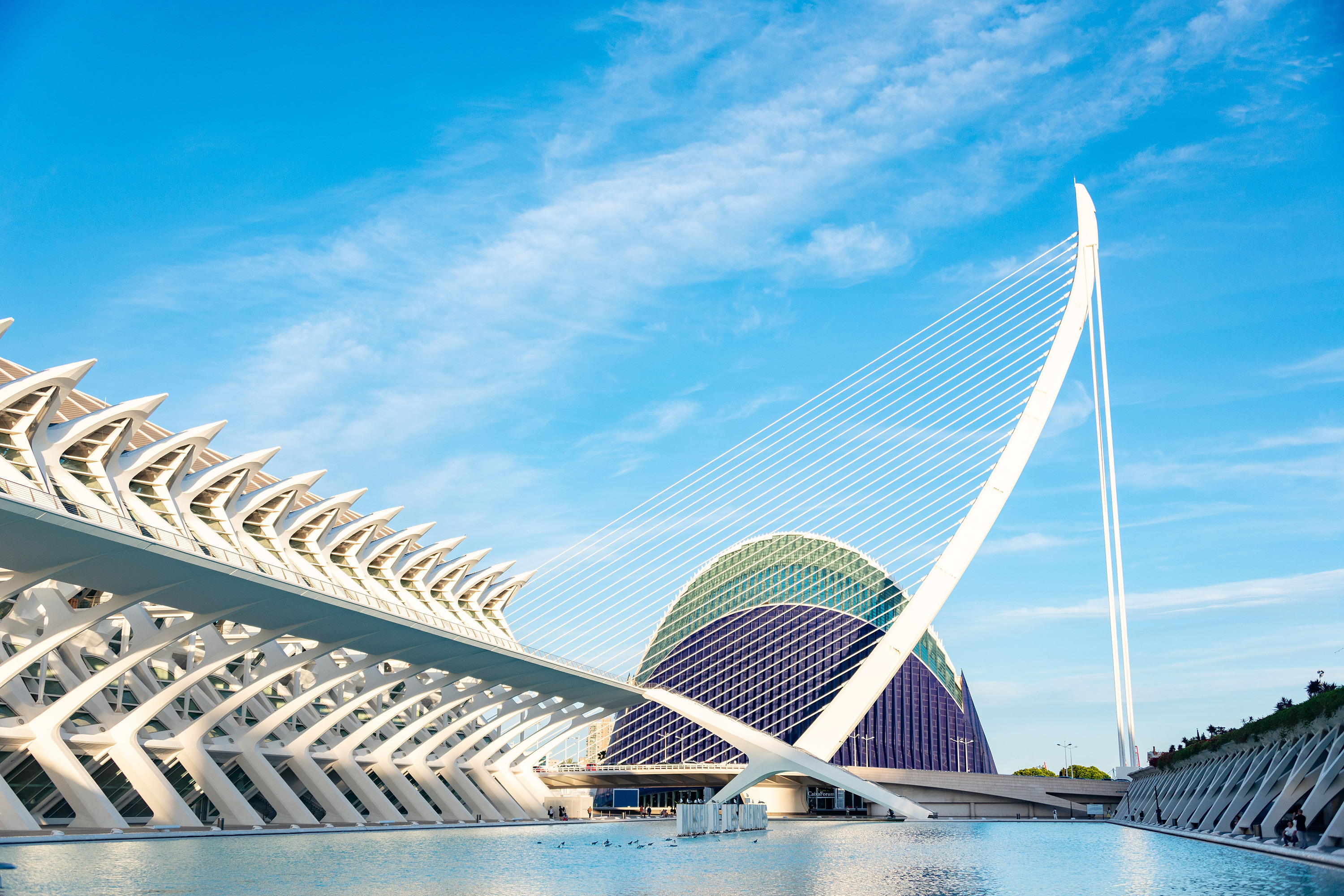 Arquitectura moderna y puente de cables en la Ciudad de las Artes y las Ciencias de Valencia, ideal para un Feet up: Corporativa.