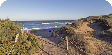 Beach access with dunes, perfect for feet up: Corporativa.