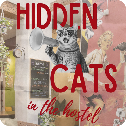 Hidden cats in the hostel. Relax and enjoy your stay with us!