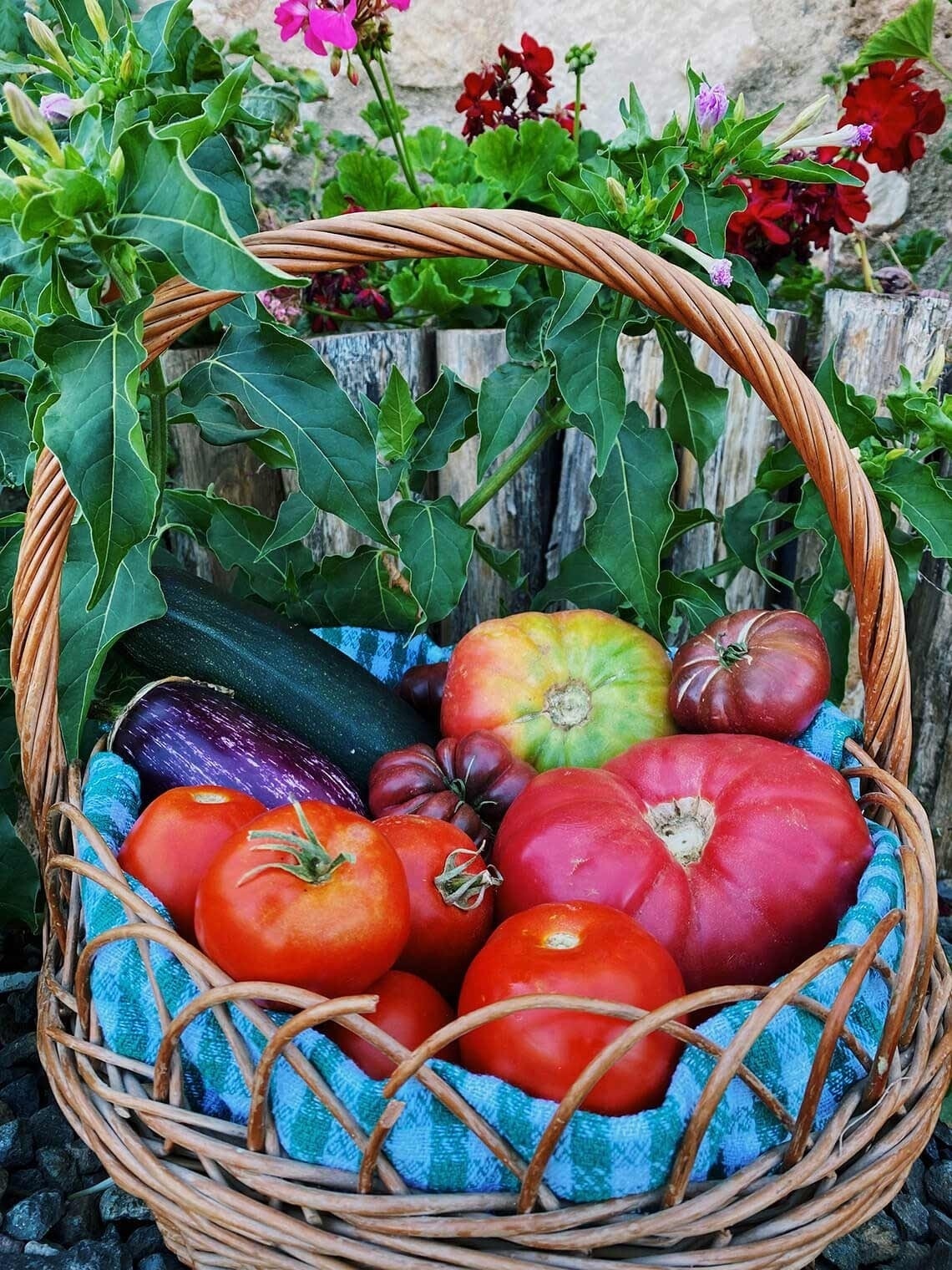 a wicker basket filled with tomatoes and other vegetables