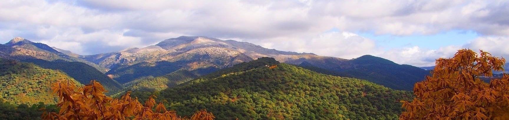 una vista panorámica de una cordillera cubierta de árboles y arbustos .