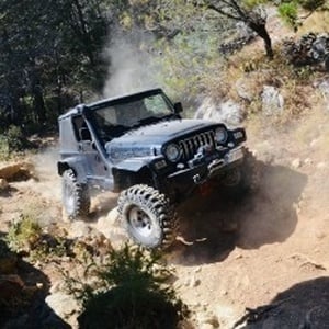 un jeep conduce por un camino de tierra en el bosque