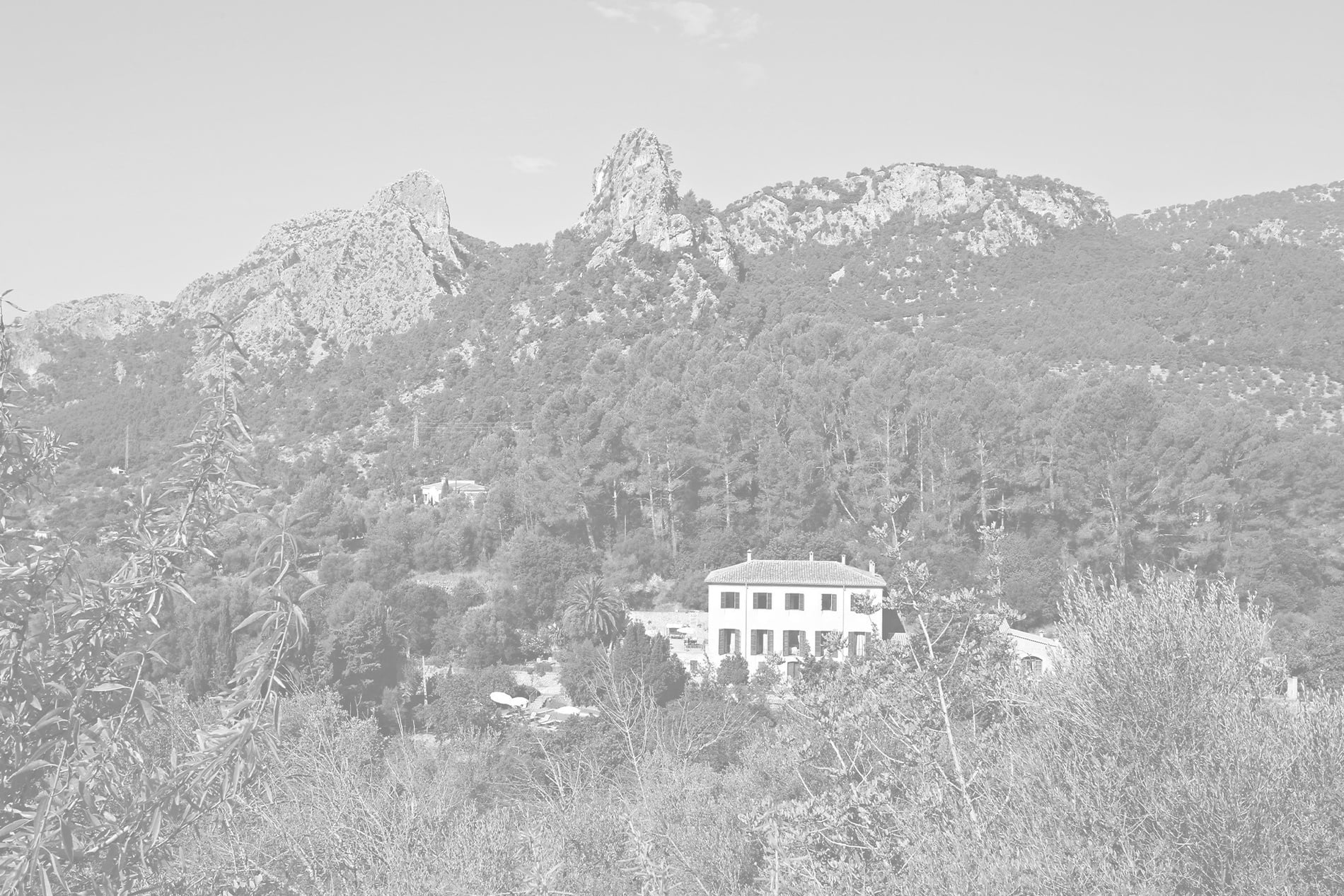 una casa en la ladera de una montaña rodeada de árboles=s1900