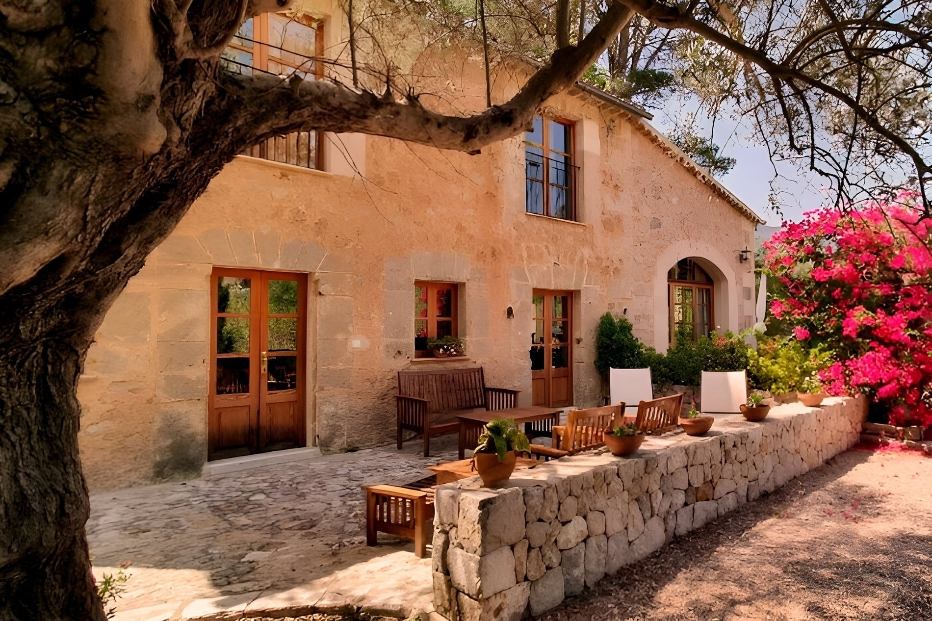 un patio con muebles y un árbol frente a una casa