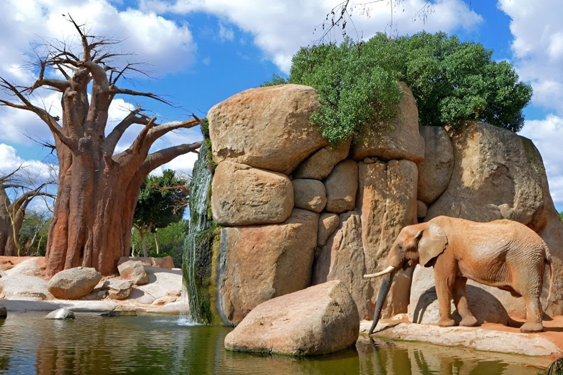 un elefante camina junto a una cascada y un árbol