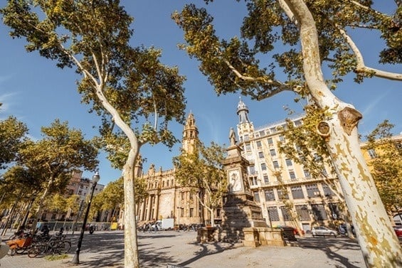 
              Otoño en Valencia: planes únicos para disfrutar de la ciudad durante tu estancia