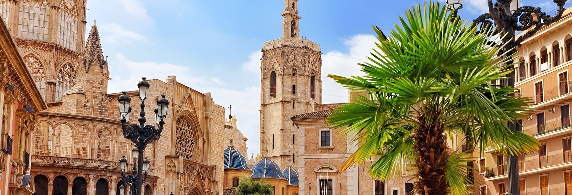 una palmera está frente a un edificio con una torre en el fondo