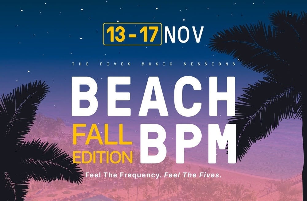 a green heart shaped leaf on a sandy beach