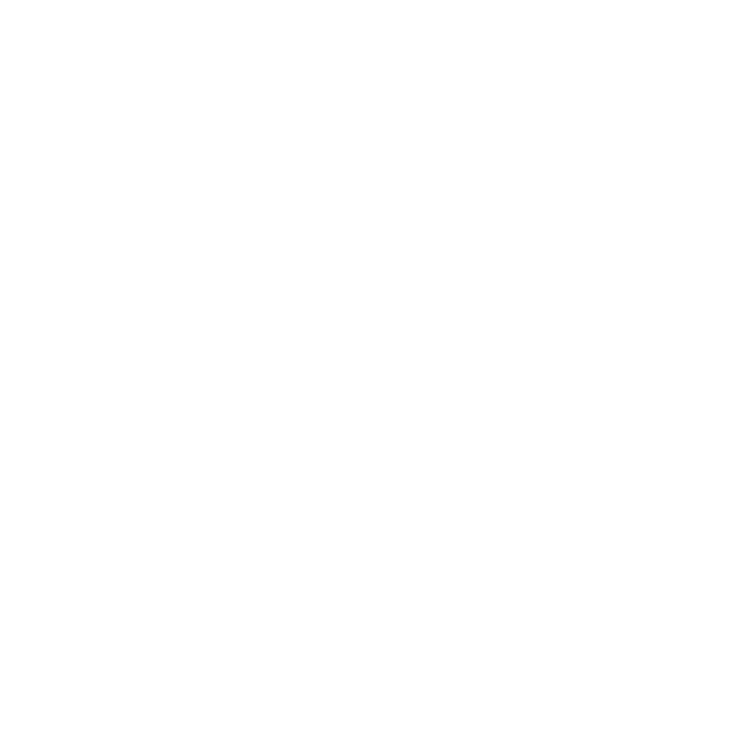 Celebrate with The Fives Corpo: bottle, flowers, cutlery, and camera for unforgettable moments.