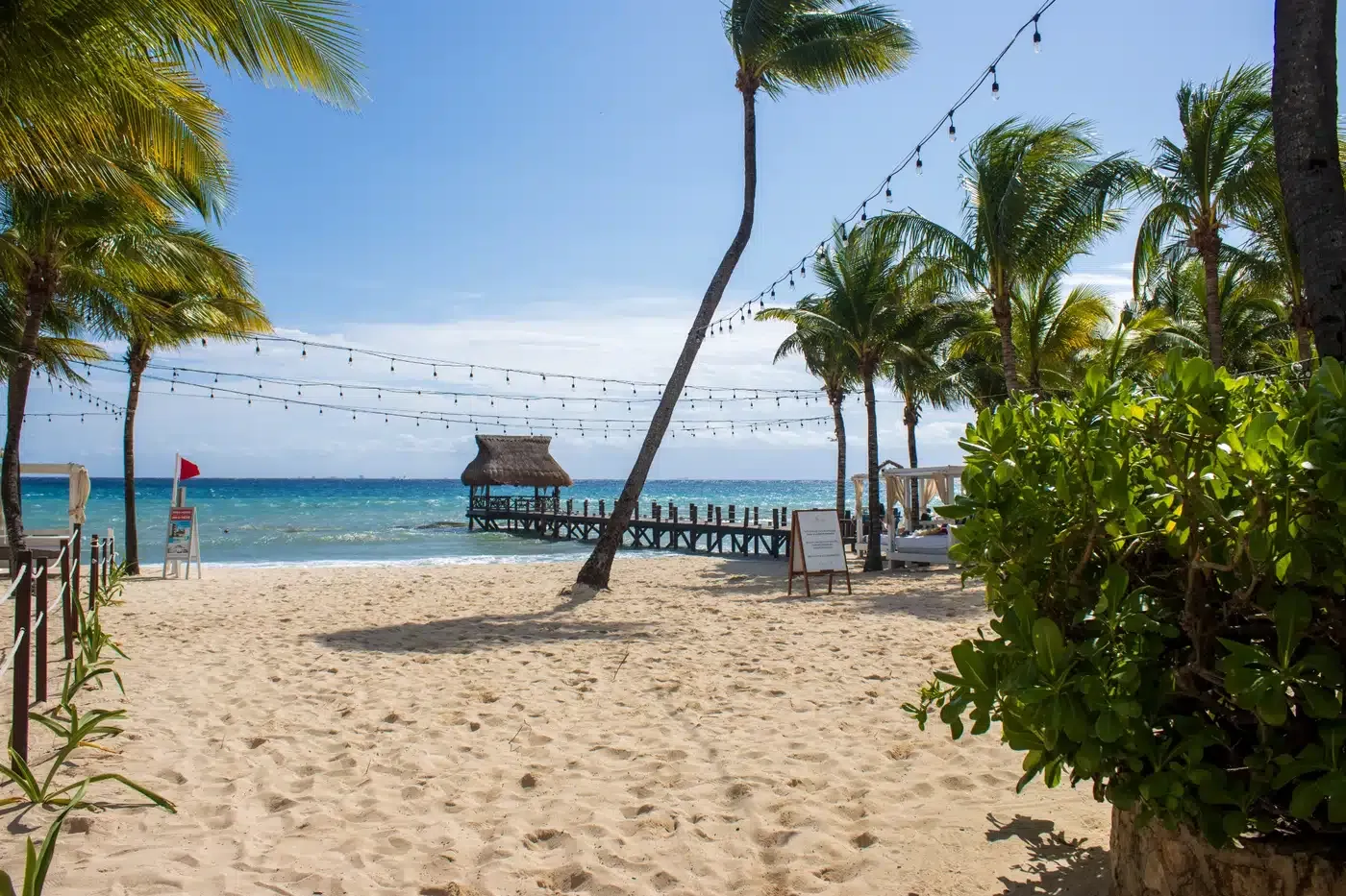 Tropical beach pier with palm trees and string lights, ideal for a The Fives Corpo getaway.