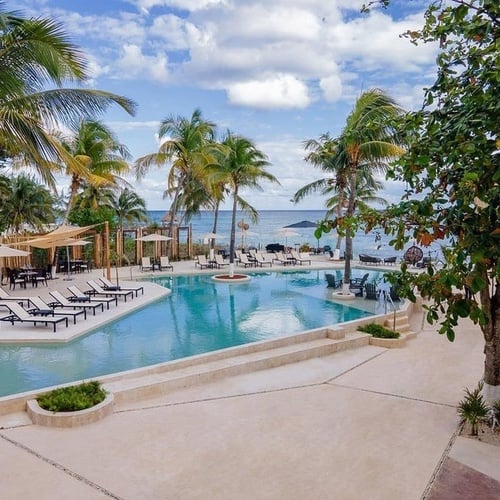 a large swimming pool surrounded by palm trees and chairs