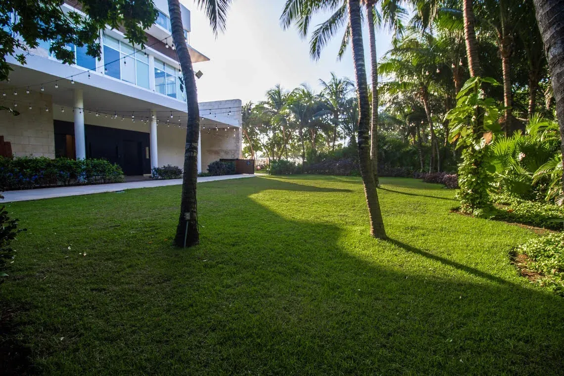 Lush green lawn with palm trees and modern building, perfect for Events | The Fives Beach Hotel & Residences