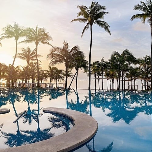 a large swimming pool with palm trees in the background