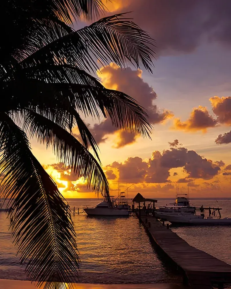 Tropical sunset at The Fives Corpo with palm trees and boats.