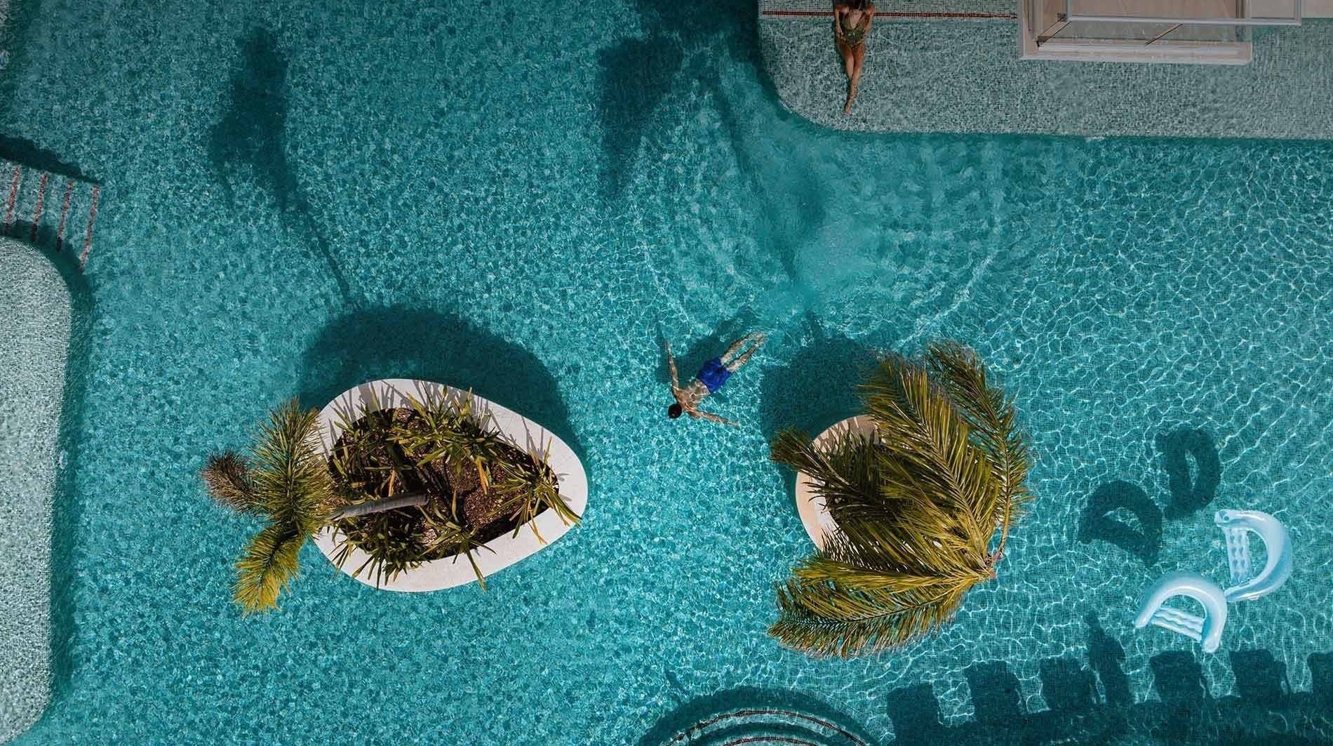 an aerial view of a swimming pool with palm trees